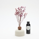 Diffuseur de parfum Ginger Crème| Fleurs séchées diffusantes en vase décoratif