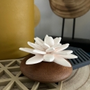 LOTUS DES INDES | Porcelain and acacia wood fragrance diffuser for indoor use