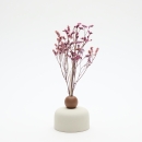 Diffuseur de parfum Ginger Crème| Fleurs séchées diffusantes en vase décoratif