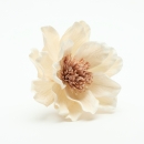 Fleur de Sola Gardenia 18 cm – Pétales blanc cassé et cœur marron, avec tige et cordon diffuseur