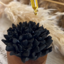 ŒILLET DU JAPON NOIR | Diffuseur de parfum en céramique et bois d'acacia