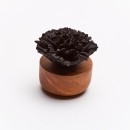 ŒILLET DU JAPON NOIR | Diffuseur de parfum en céramique et bois d'acacia