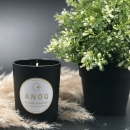 CARESSE POUDRÉE | Scented candle in black lacquered glass 180 grs