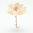 Fleur de Sola Gardenia 18 cm – Pétales blanc cassé et cœur marron, avec tige et cordon diffuseur