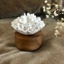 OEILLET DU JAPON BLANC | Porcelain and ceramic fragrance diffuser for interiors