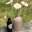 DIFFUSEUR A TIGES  -  FIDJI  CHOCO