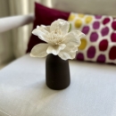 MANA CAFÉ | Vase diffuseur en céramique