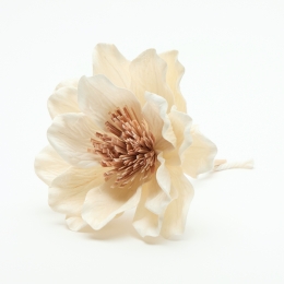 Fleur de Sola Gardenia 18 cm – Pétales blanc cassé et cœur marron, avec tige et cordon diffuseur