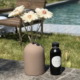 DIFFUSEUR A TIGES  -  FIDJI  CHOCO