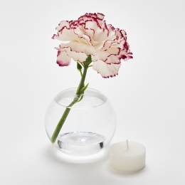 SOLIFLORE | Vase bougeoir verre