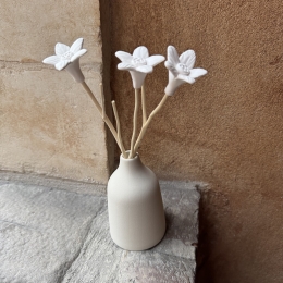 DIFFUSEUR A BATONS  | Parfumeur JOY Creme